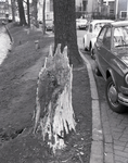801403 Afbeelding van de na een storm overgebleven stronk van een omgewaaide boom aan de Begijnekade te Utrecht.